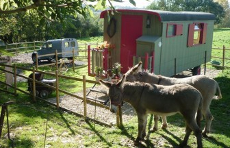 GIT'ANES, Chambre d'hôtes dans le Nord