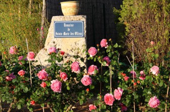 Domaine Sainte Marie des Ollieux, Chambre d'hôtes dans l'Aude