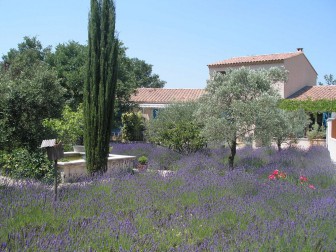 Le clos des lavandes, Chambre d'hôtes dans le Vaucluse